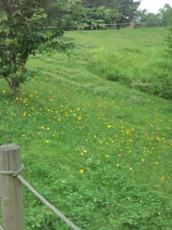f0164479_0314494.jpg
