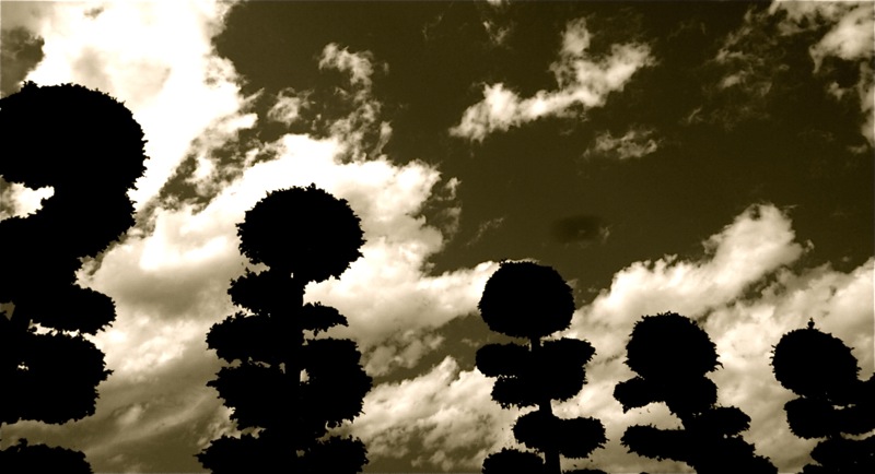 e0231581_225759100.jpg
