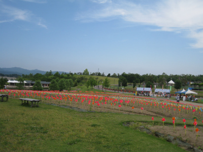 梅雨の晴れ間の新潟へ　その１_a0038882_8232100.jpg