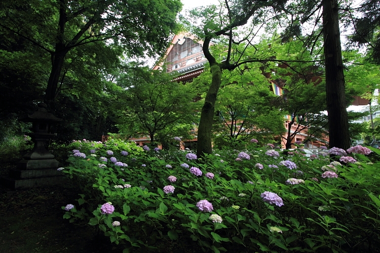 智積院_e0051888_23393476.jpg