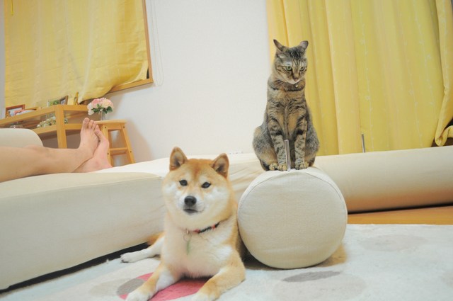 濡れていた・・・・_a0126590_4574397.jpg