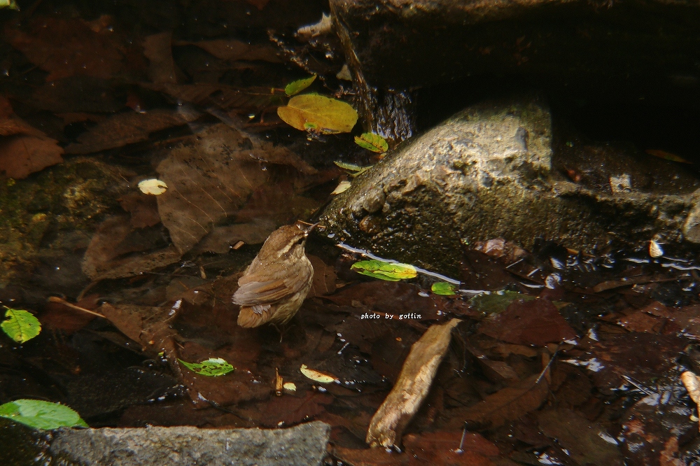 c0213690_214315.jpg