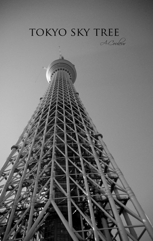 b0213791_249097.jpg