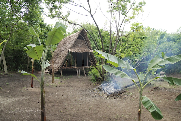 グアム旅行記　：　Guam Culture & Eco Park　（グアムカルチャー＆エコパーク）　：　Hafa Adai ! GUAM　_d0114093_2401367.jpg