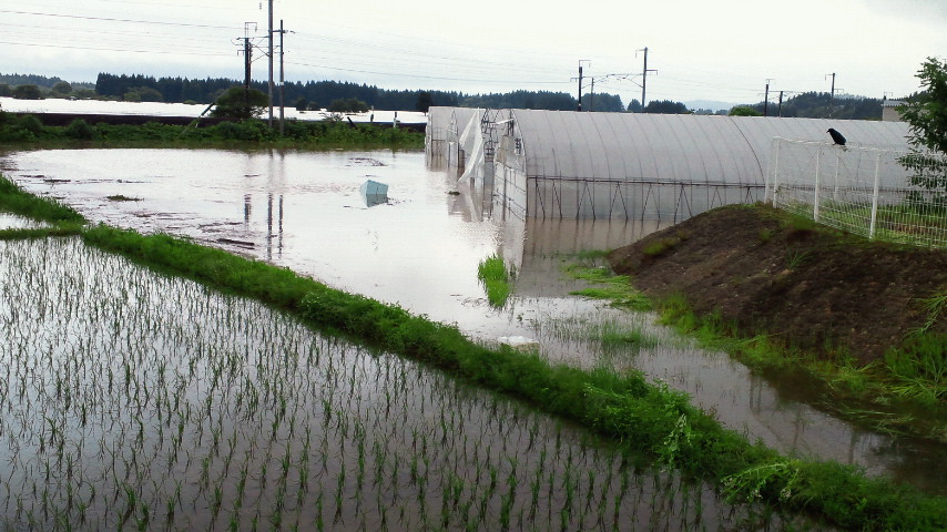 慰安会と水害!_f0150893_19491720.jpg
