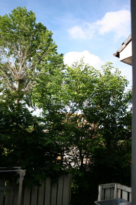 a0077894_144623.jpg