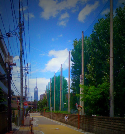 d0122194_1412165.jpg