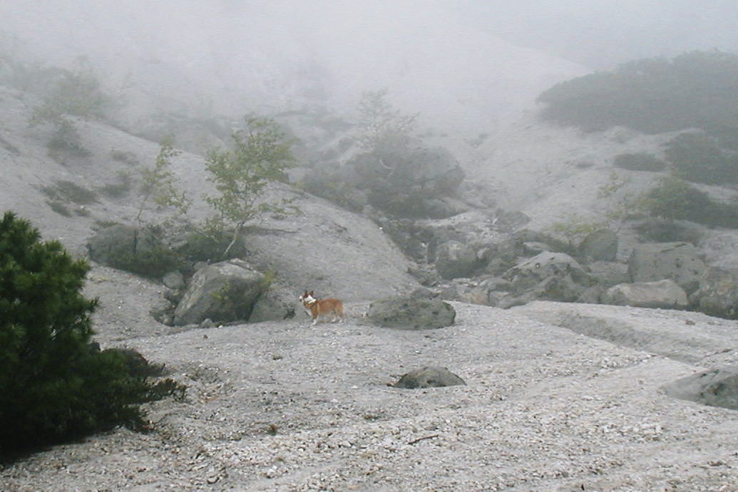 f0200795_90793.jpg