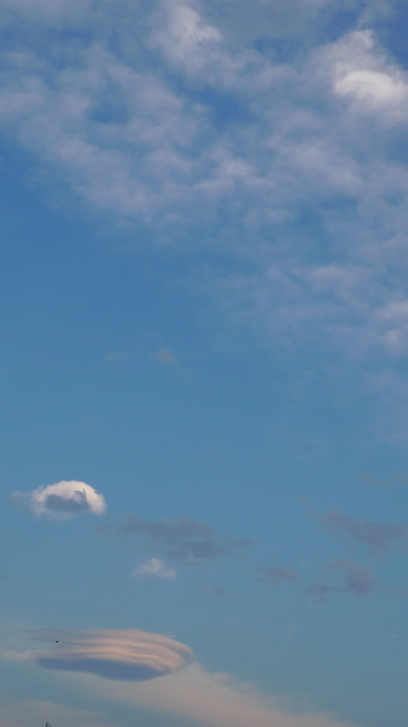 a0188798_11432662.jpg