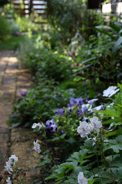 a0123003_851288.jpg