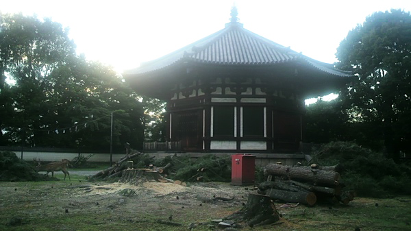 c0043403_22525352.jpg