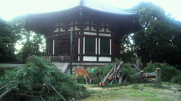c0043403_22532649.jpg