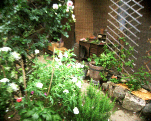 d0077603_77833.jpg