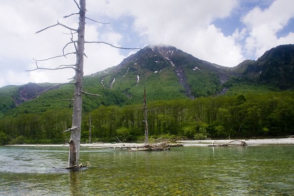 e0193503_9524230.jpg