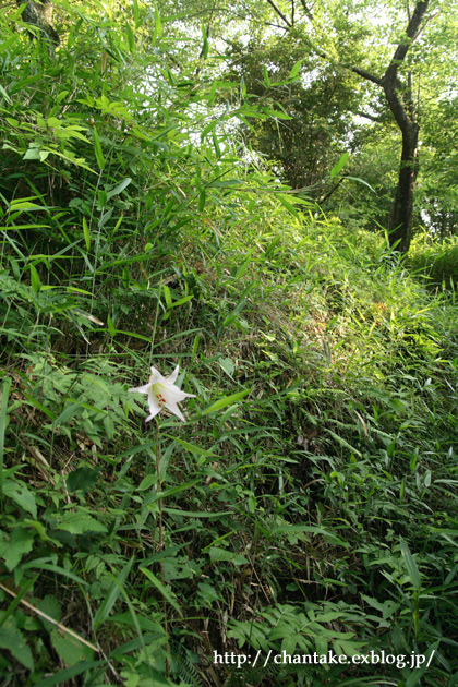 c0189013_6452084.jpg