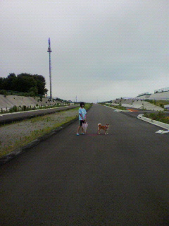 a0190414_22202197.jpg