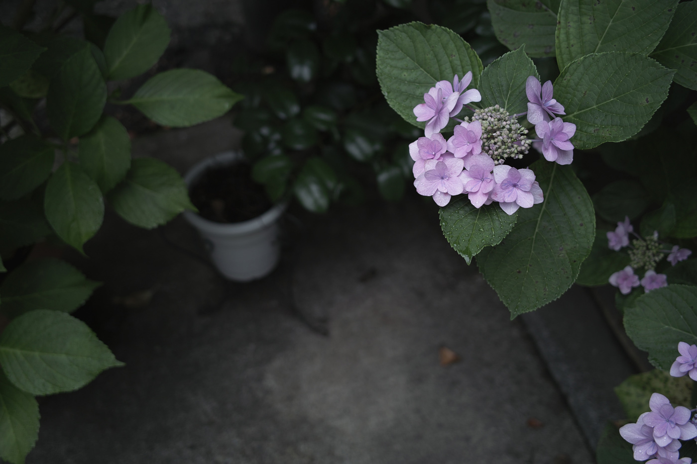 c0213117_3434030.jpg