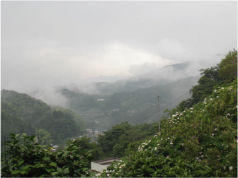 散歩部活動報告 「紫陽花のある風景」_e0142619_2341453.jpg