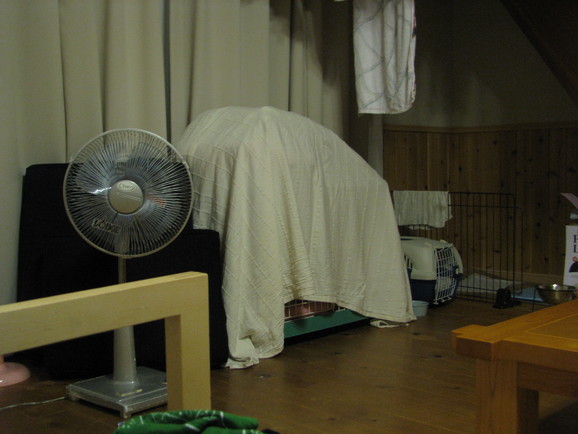a0149522_00836.jpg