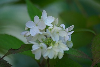 f0170524_9413937.jpg