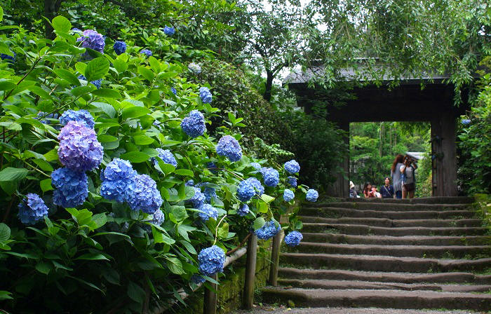 d0085025_9312966.jpg