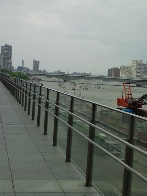 d0077029_935226.jpg
