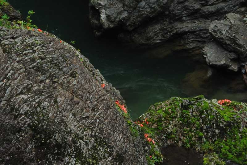 飛水峡(岐阜県）　Part１_f0060531_21224381.jpg