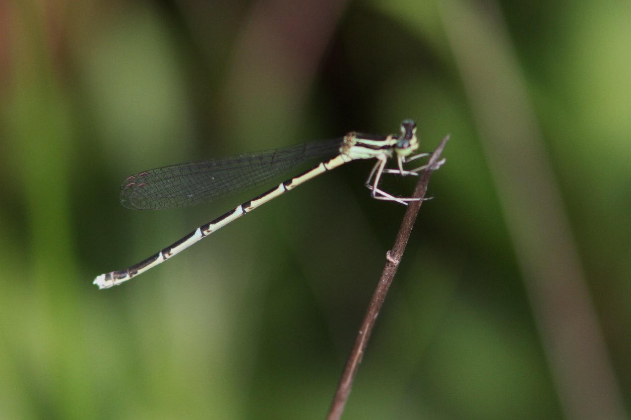 c0172139_95930100.jpg