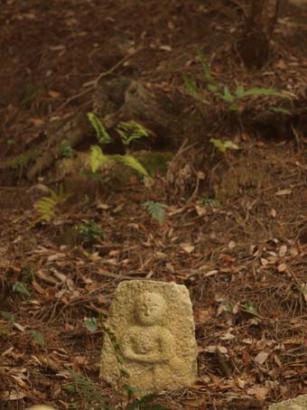 廃少菩提寺の石仏群-Ⅱ　　　　滋賀県・甲賀市甲西町_d0149245_10241415.jpg