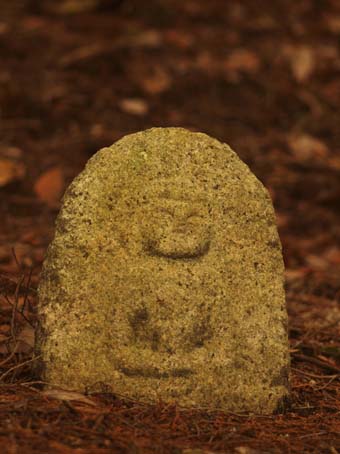 廃少菩提寺の石仏群-Ⅱ　　　　滋賀県・甲賀市甲西町_d0149245_1024150.jpg