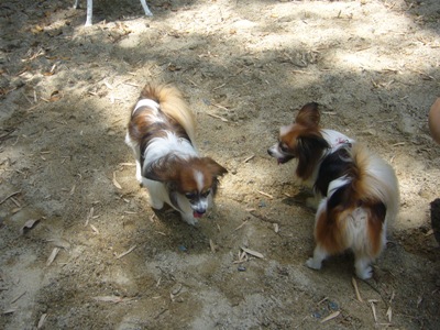 e0100046_2231343.jpg
