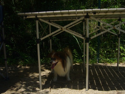 e0100046_2274864.jpg