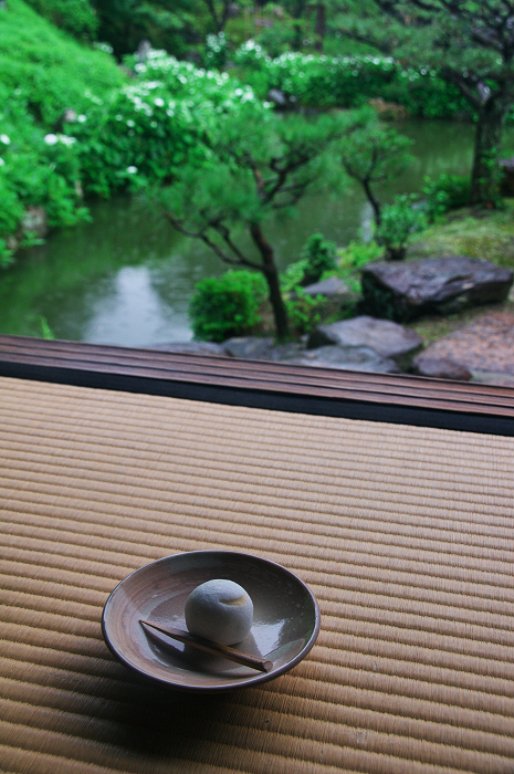 半夏生咲く庭(建仁寺塔頭・両足院)_f0155048_20114424.jpg