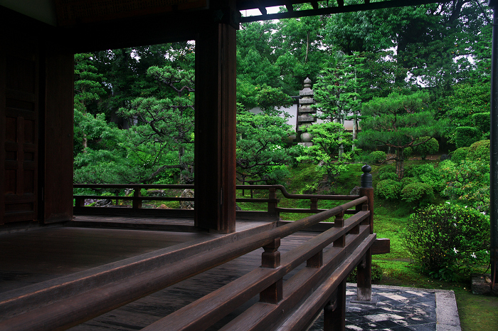 半夏生咲く庭(建仁寺塔頭・両足院)_f0155048_20185234.jpg