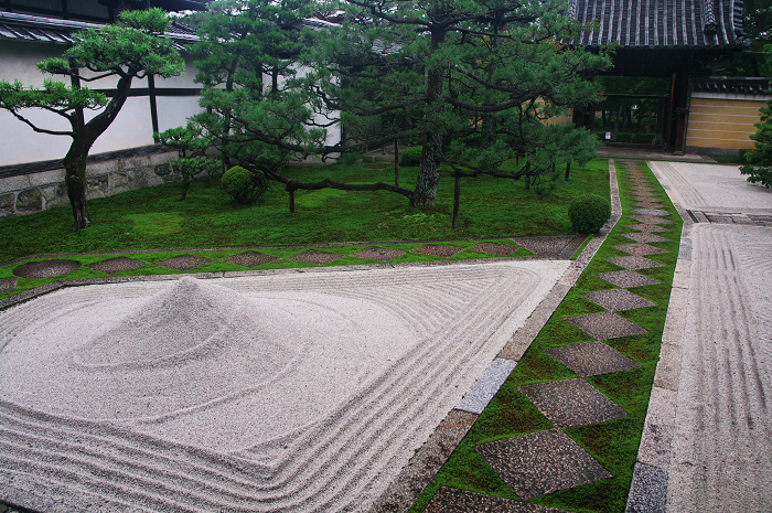 半夏生咲く庭(建仁寺塔頭・両足院)_f0155048_20191991.jpg
