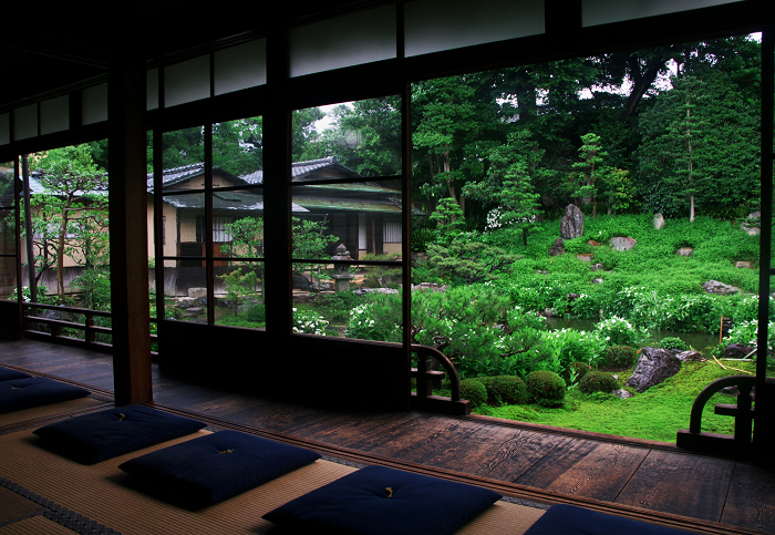 半夏生咲く庭(建仁寺塔頭・両足院)_f0155048_2052026.jpg