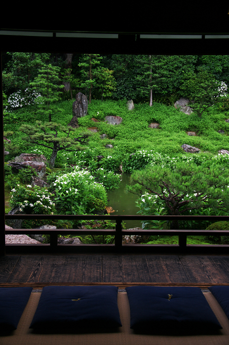 半夏生咲く庭(建仁寺塔頭・両足院)_f0155048_2063959.jpg
