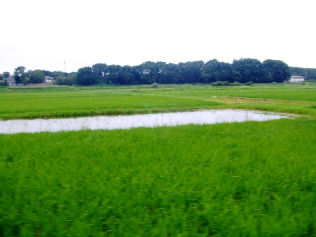 d0150949_178056.jpg