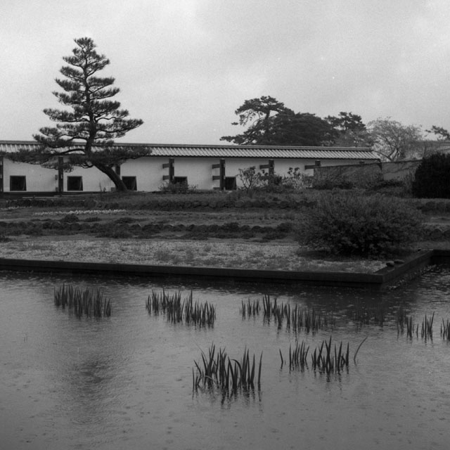 雨の金沢城_f0224950_20424159.jpg