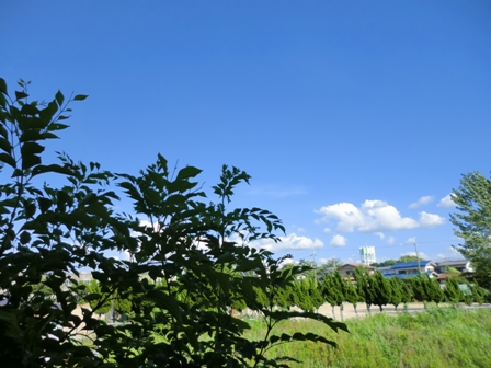 c0159755_16492655.jpg