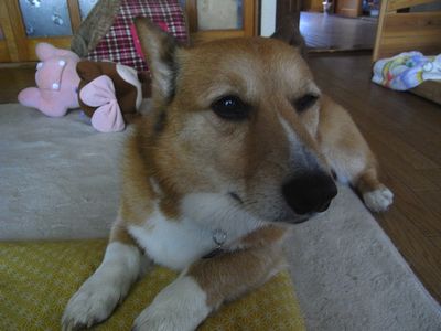 d0044755_20293321.jpg