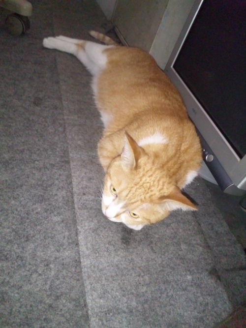暑い・・・・_a0163159_047566.jpg