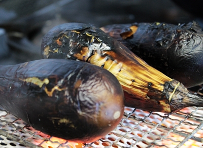たかきび入り焼き茄子カレー スパイスと薬膳と たかきび入り焼き茄子カレー スパイスと薬膳と