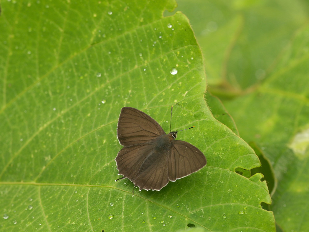 a0146869_91655.jpg
