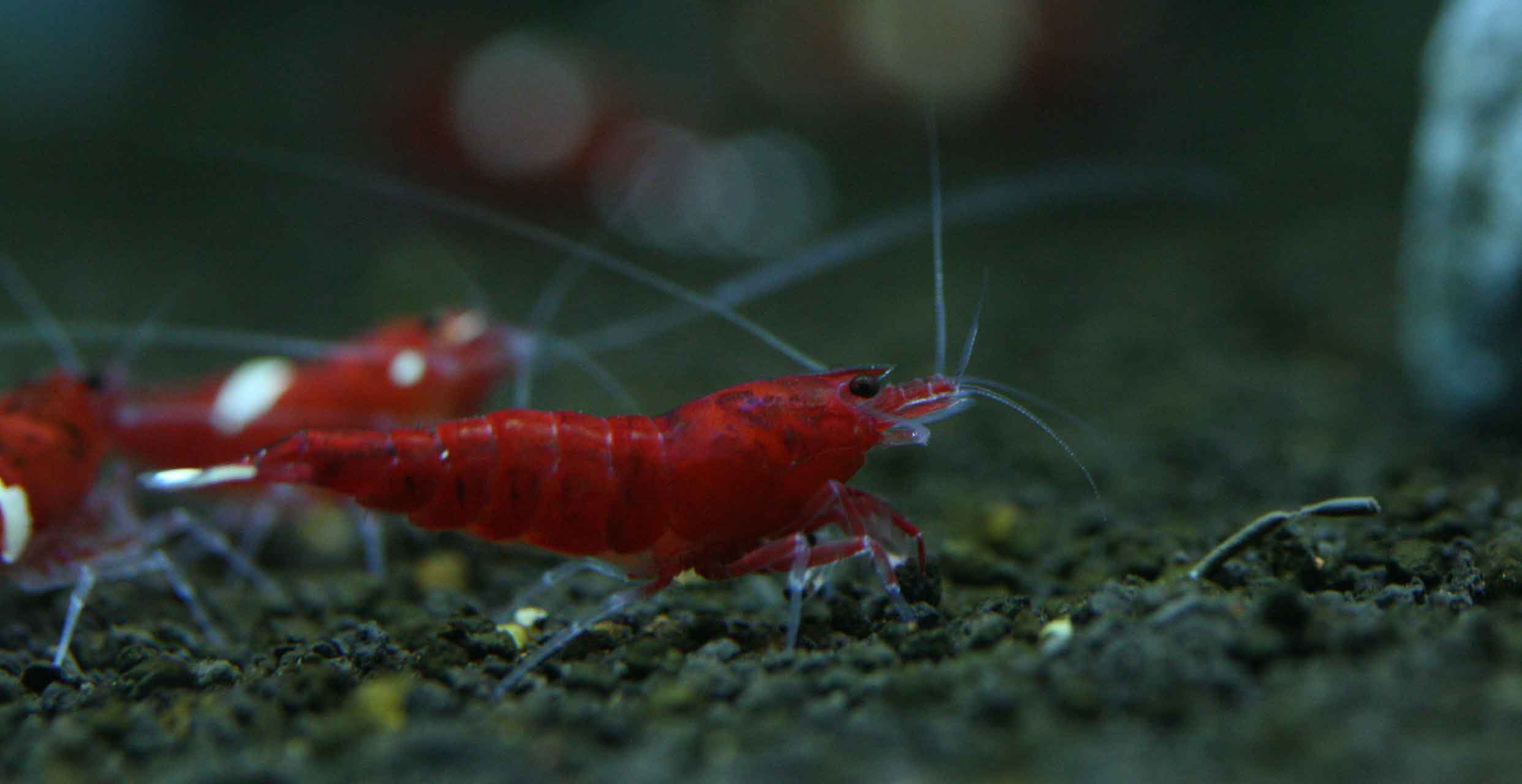 f0224970_2116479.jpg