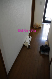 f0238772_14391416.jpg