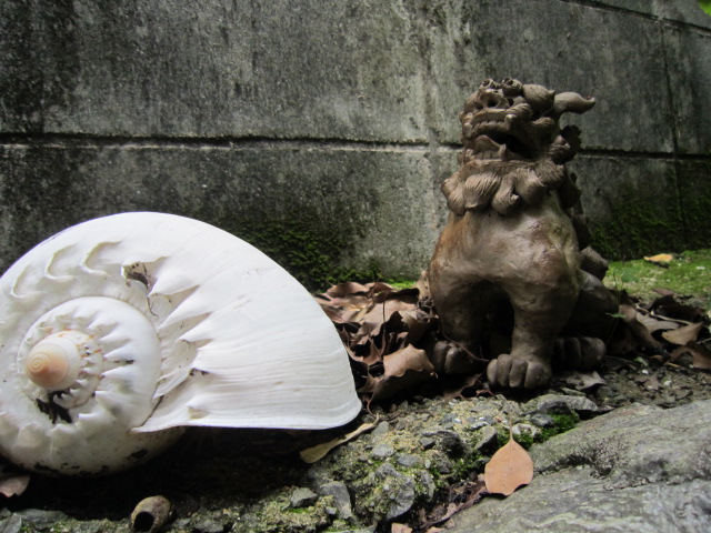 裏の石垣_b0214473_1910368.jpg