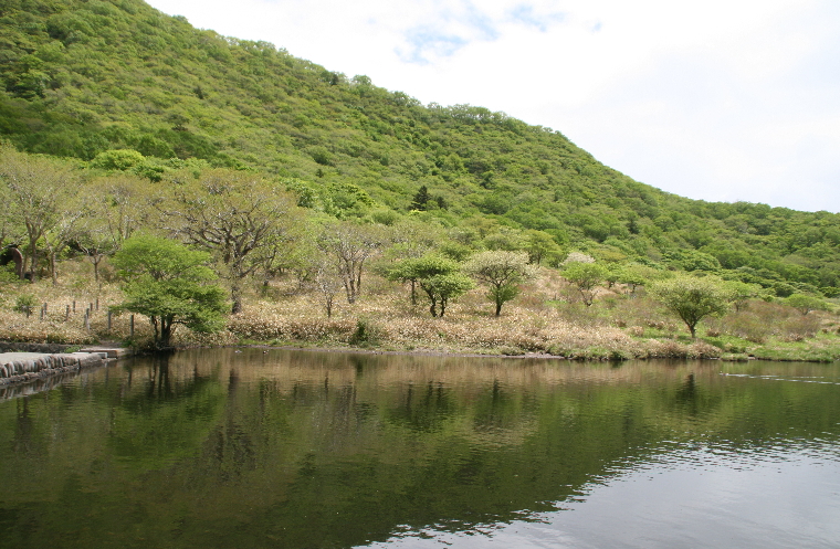 ６月１４日　故郷の風景　赤城　覚満淵から小沼へ_c0112479_16263444.jpg