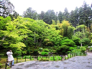 UOMOで宮城県応援記事！～仙台、松島、塩竈～_b0053082_029461.jpg