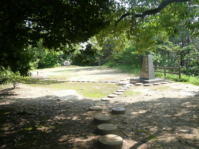 神戸市西区の枝吉城跡 on 2011-6-23_b0118987_12303298.jpg